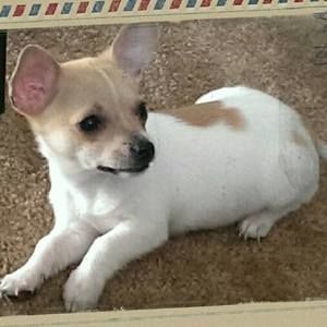 Meet your Posher, Kashif